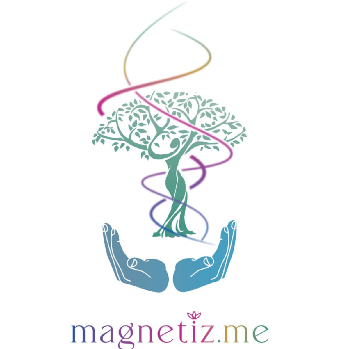 MAGNETIZ.ME